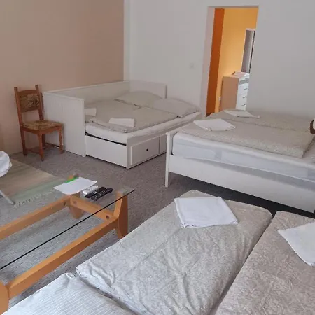 Πανσιόν Hodinarstvi 3*